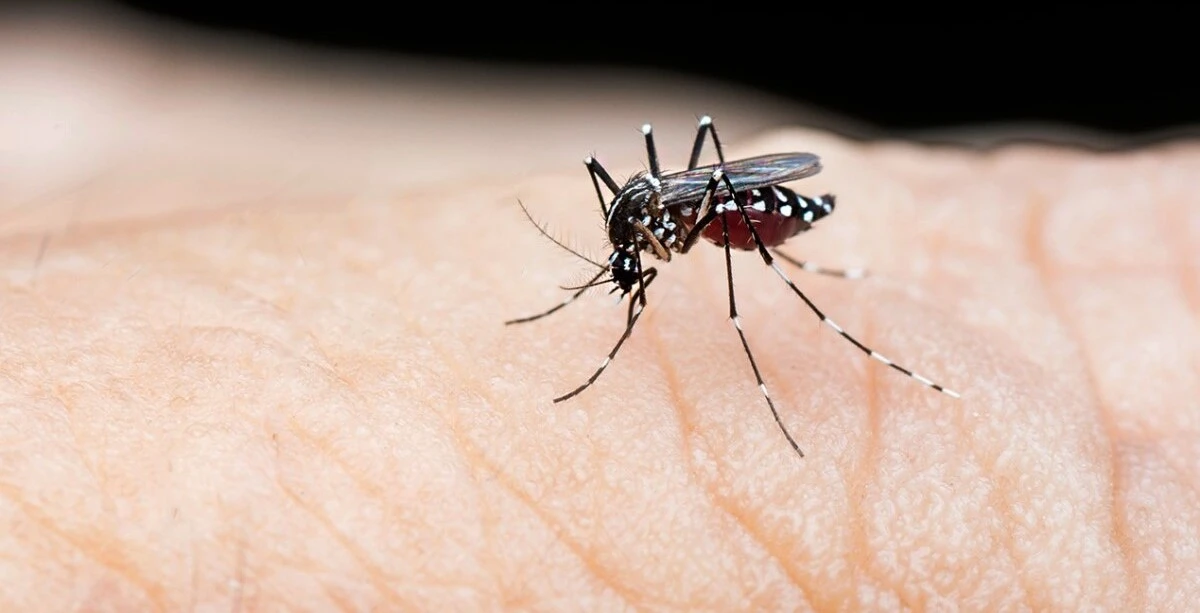 Dengue cases rise in Gurgaon